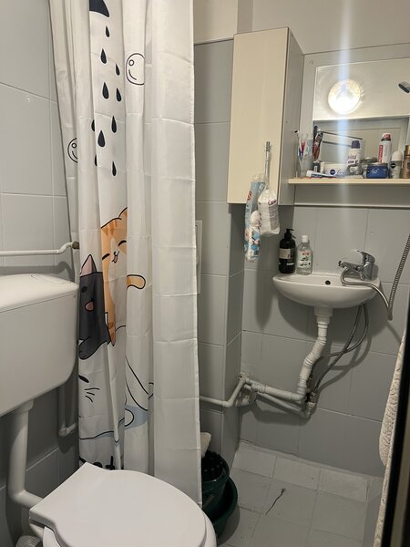 Topotasi, Str. Radu Constantin,